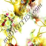 Colour:K