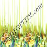 Colour:K