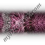 Colour:C