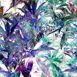 Colour:A