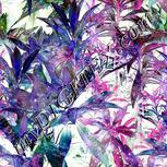 Colour:D