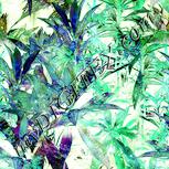 Colour:K