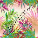 Colour:C