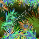 Colour:F