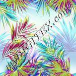 Colour:K