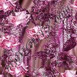 Colour:B