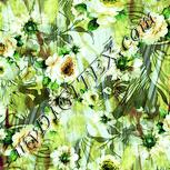 Colour:K