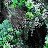 Colour:C
