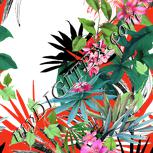 Colour:A