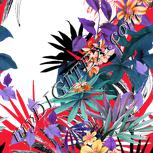 Colour:B