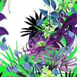 Colour:C