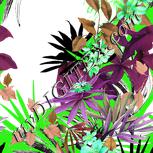 Colour:D