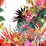 Colour:J