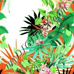 Colour:K