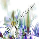 Colour:D