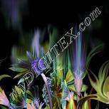 Colour:F