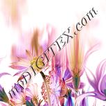 Colour:J
