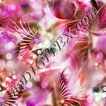 Colour:B