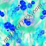 Colour:F
