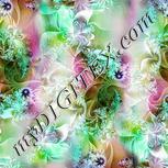 Colour:B