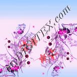 Colour:B
