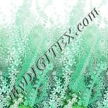 Colour:C