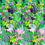 Colour:C