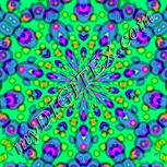 Colour:B