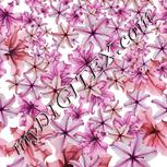 Colour:A