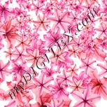 Colour:J