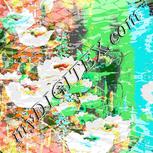Colour:B