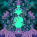 Colour:F