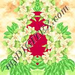 Colour:K
