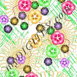 Colour:B