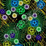 Colour:F