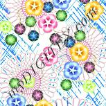Colour:K