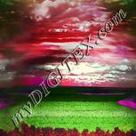Colour:C