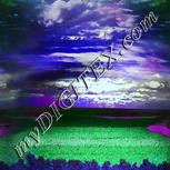 Colour:D