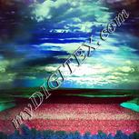 Colour:K