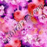 Colour:B
