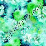 Colour:C