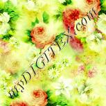 Colour:K