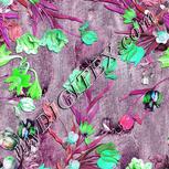 Colour:C