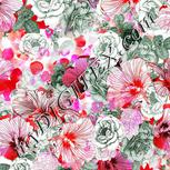 Colour:B