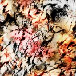 Colour:F