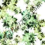 Colour:K