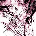 Colour:C