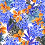 Colour:A