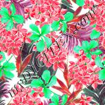 Colour:C