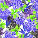 Colour:D